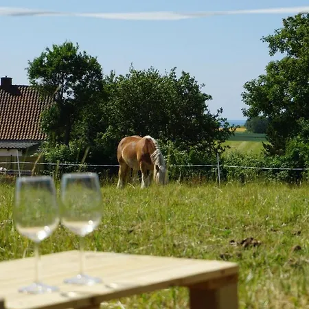 Campismo de Luxo Glamping I Hjelm